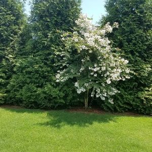 Meet your Posher, Stanley